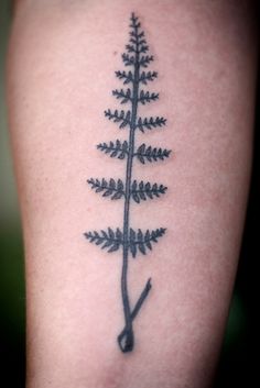 0862c807a3f48d7746e8c5e0c0d36575